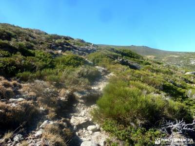 La Serrota - Valle de Amblés; dehesa boyal alpujarra granadina valdemaqueda navaconcejo